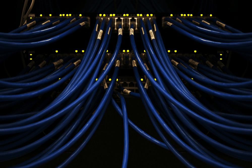 software-for-business